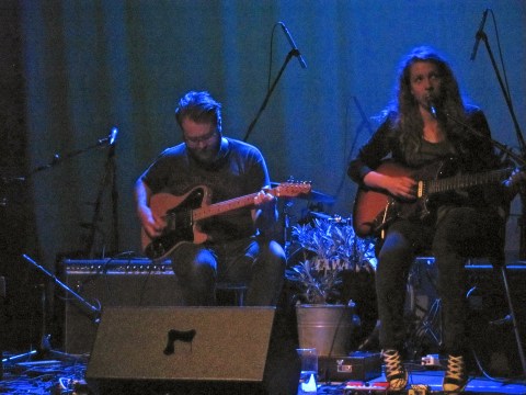 Fiver in Toronto. August 17, 2012. Photo: Sarah MacDonald 