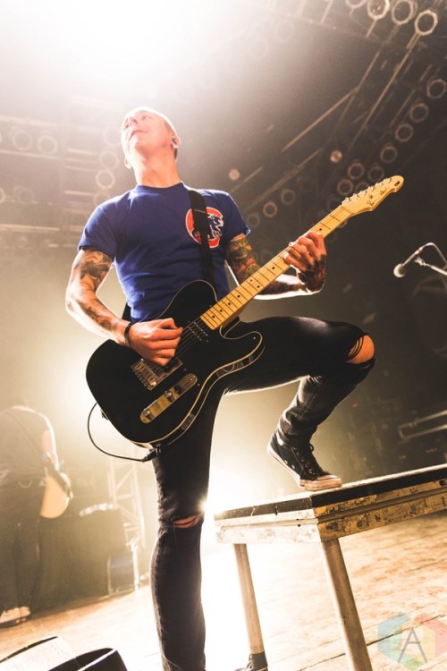 Yellowcard performs at the House of Blues in Chicago on November 3, 2016. (Photo: Katie Kuropas/Aesthetic Magazine)