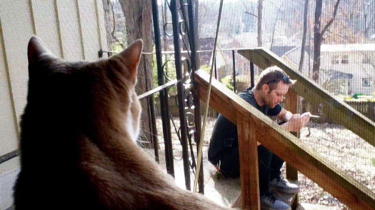 Thieves Tour Diary 2017