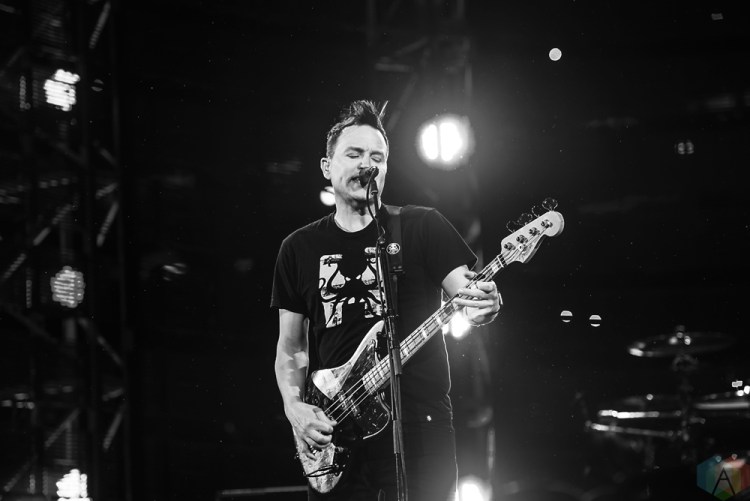 Blink-182 performs at NRG Park in Houston on March 23, 2017 during the Houston Rodeo. (Photo: Joey Diaz/Aesthetic Magazine)
