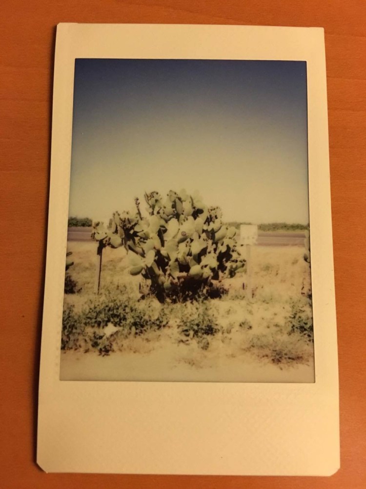 Cat Clyde on tour in Los Angeles in May 2017