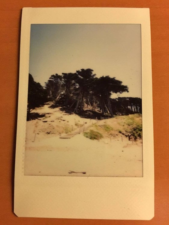 Cat Clyde on tour in San Francisco, California in May 2017