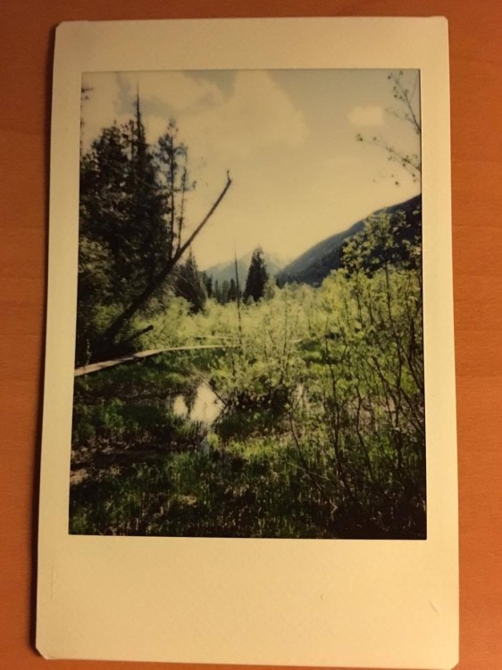 Cat Clyde on tour in Revelstoke, British Columbia in May 2017