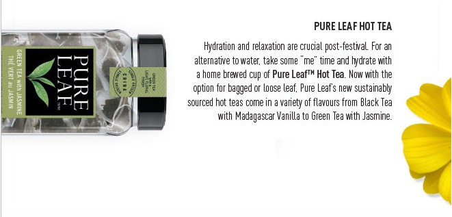 Pure Leaf Hot Tea