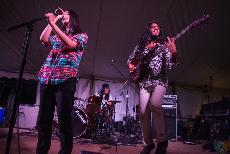 Century Egg performs at Hillside Festival on July 15, 2017. (Photo: Morgan Hotston/Aesthetic Magazine)