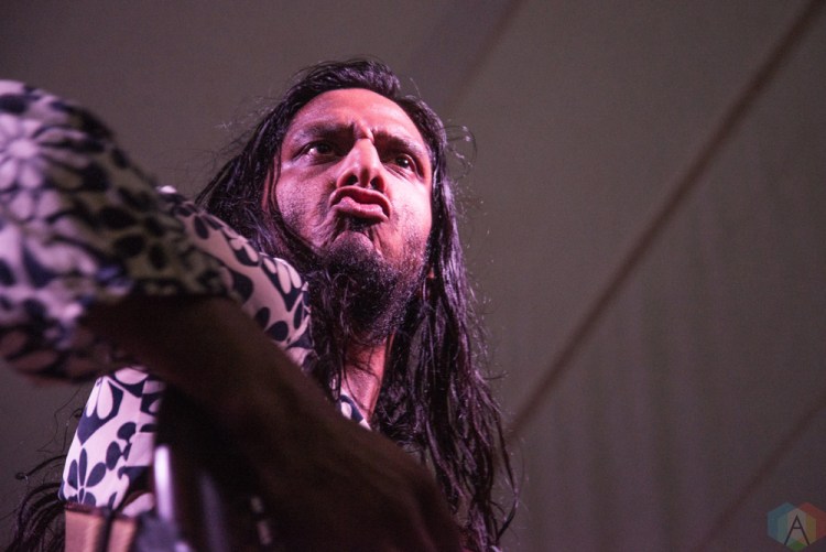 Century Egg performs at Hillside Festival on July 15, 2017. (Photo: Morgan Hotston/Aesthetic Magazine)