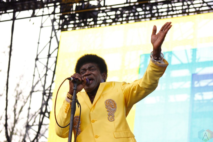 Charles Bradley performs at Wayhome Festival on July 30, 2017. (Photo: Curtis Sindrey/Aesthetic Magazine)