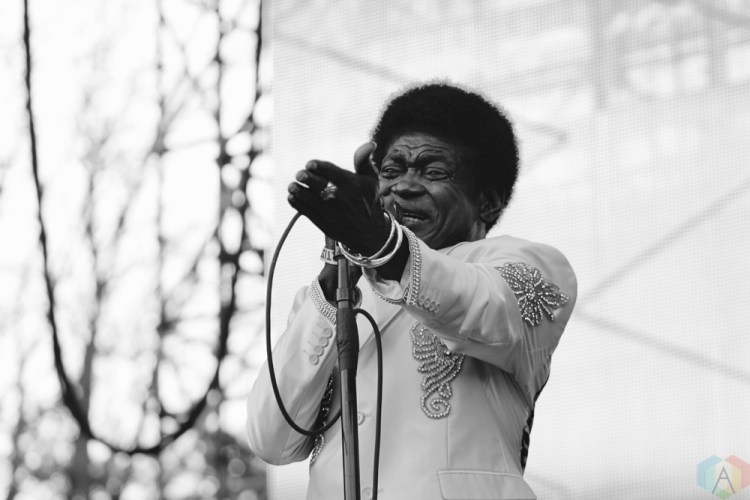 Charles Bradley performs at Wayhome Festival on July 30, 2017. (Photo: Curtis Sindrey/Aesthetic Magazine)