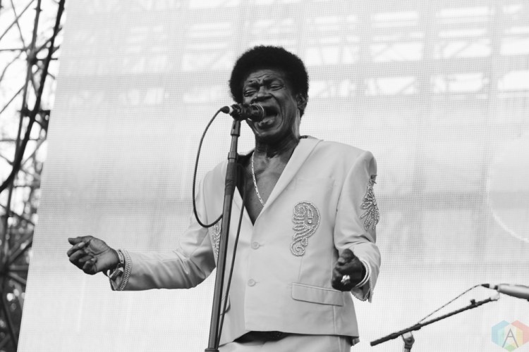 Charles Bradley performs at Wayhome Festival on July 30, 2017. (Photo: Curtis Sindrey/Aesthetic Magazine)