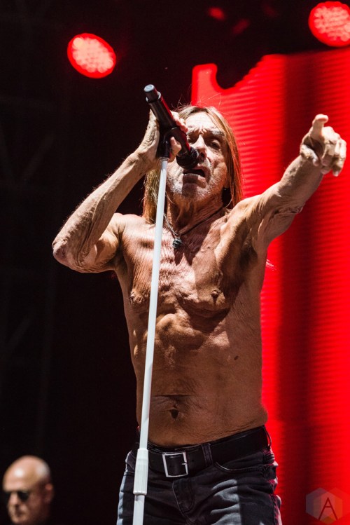 Iggy Pop performs at Project Pabst in Portland, Oregon on August 26, 2017. (Photo: Kevin Tosh/Aesthetic Magazine)