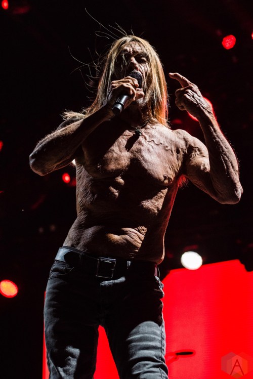 Iggy Pop performs at Project Pabst in Portland, Oregon on August 26, 2017. (Photo: Kevin Tosh/Aesthetic Magazine)