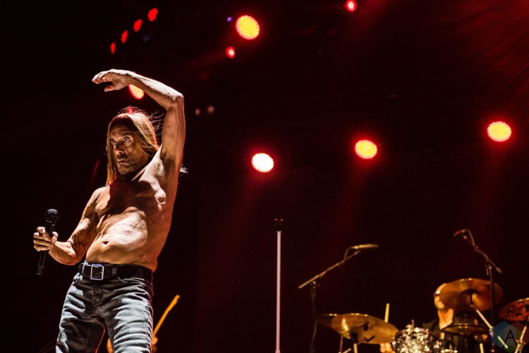 Iggy Pop performs at Project Pabst in Portland, Oregon on August 26, 2017. (Photo: Kevin Tosh/Aesthetic Magazine)