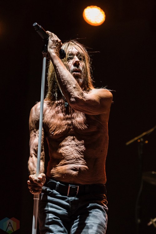 Iggy Pop performs at Project Pabst in Portland, Oregon on August 26, 2017. (Photo: Kevin Tosh/Aesthetic Magazine)