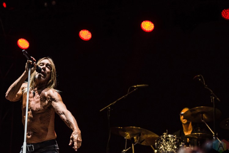 Iggy Pop performs at Project Pabst in Portland, Oregon on August 26, 2017. (Photo: Kevin Tosh/Aesthetic Magazine)