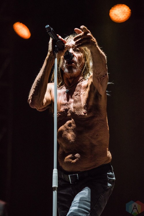 Iggy Pop performs at Project Pabst in Portland, Oregon on August 26, 2017. (Photo: Kevin Tosh/Aesthetic Magazine)