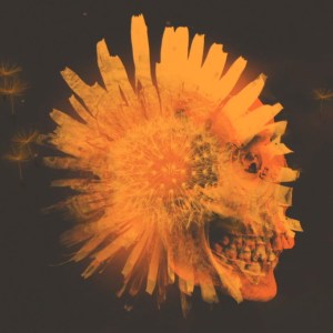 Barns Courtney "Attractions Of Youth"