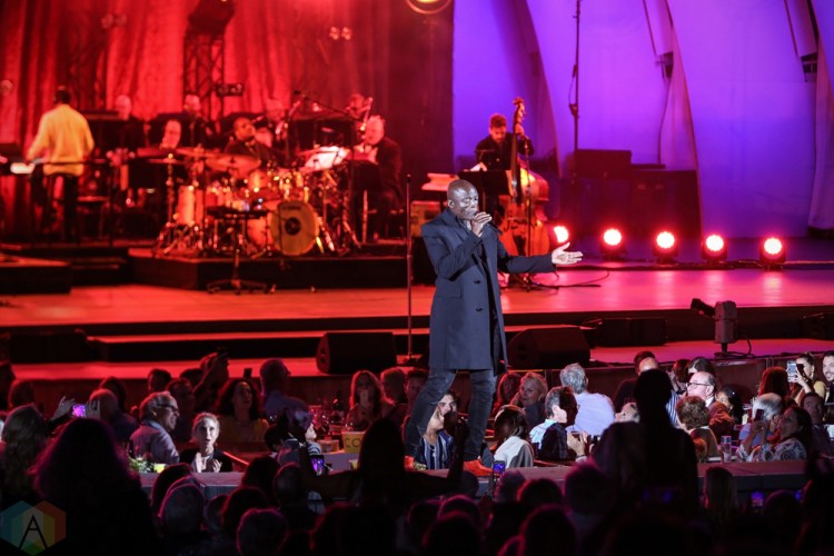 LOS ANGELES, CA - JULY 18: Seal performs at Hollywood Bowl in Los Angeles on July 18, 2018. (Photo: Melanie Escombe/Aesthetic Magazine)