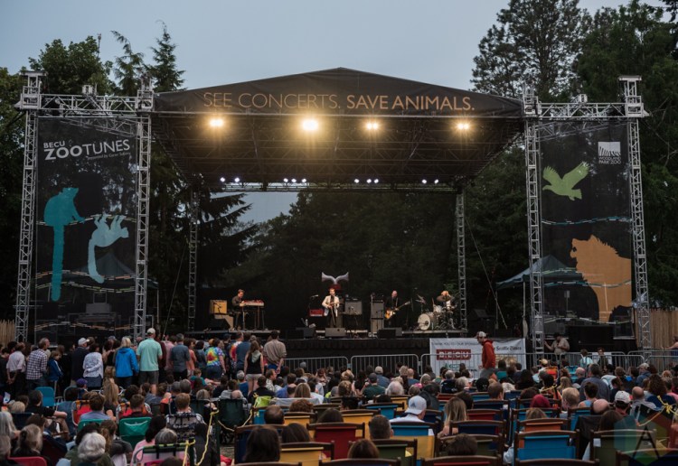 SEATTLE, WA - AUGUST 19: Andrew Bird performs at Woodland Park Zoo in Seattle on August 19, 2018. (Photo: Kevin Tosh/Aesthetic Magazine)