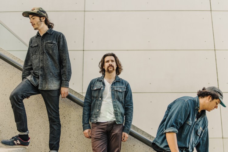 Jesse And The Dandelions